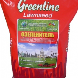Газон озеленитель Гринлайн (Lawn 'Greenline Ozelenitel')