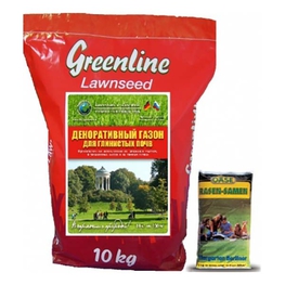 Газон декоративный Гринлайн (Lawn 'Greenline Ornamental')