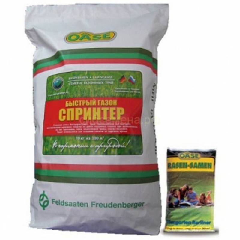 Газон быстрый Спринтер (Lawn 'Sprinter')